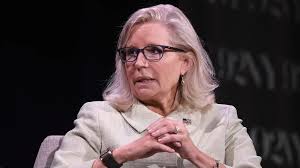 liz cheney net worth