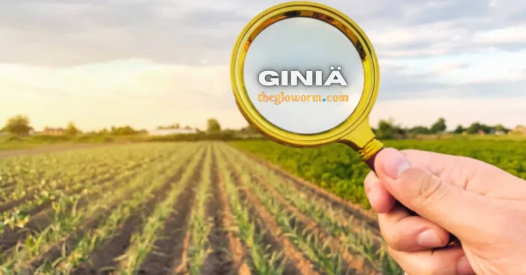 giniä