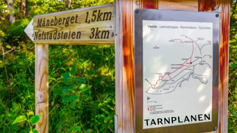 tarnplanen