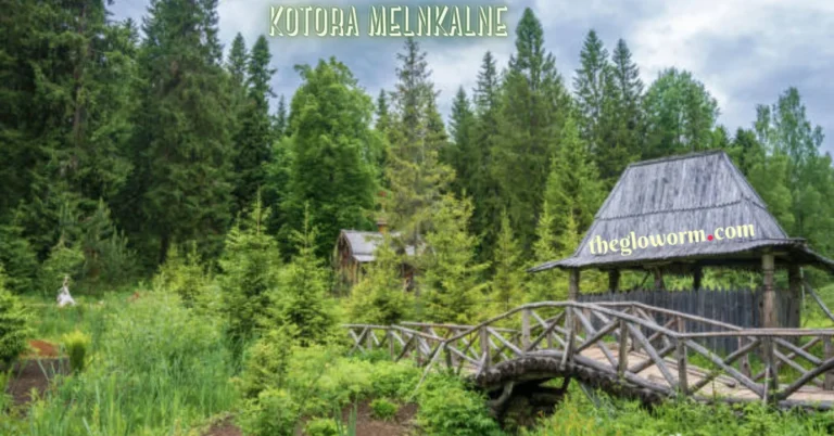 Kotora Melnkalne