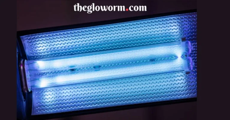 How to Use a Black Light