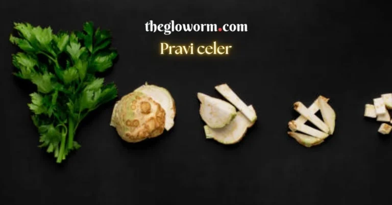 pravi celer