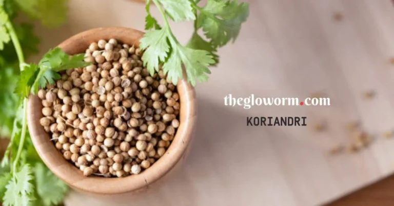 koriandri