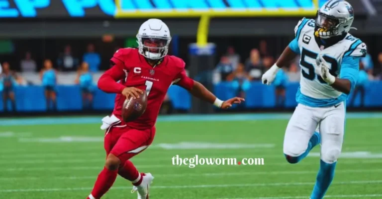 arizona cardinals vs carolina panthers match player stats