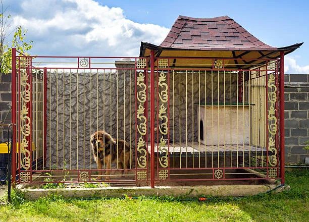 Indoor Fence for Dog