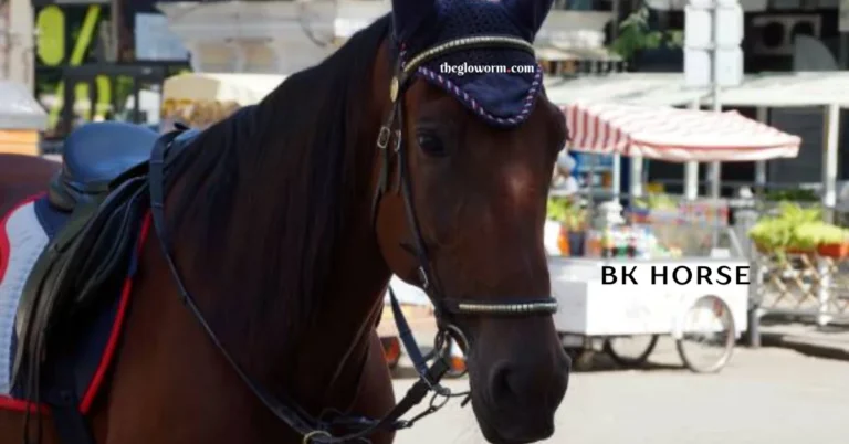 bk horse