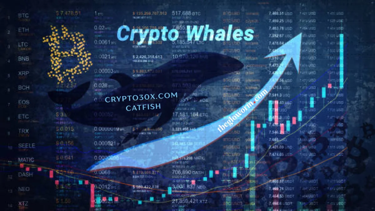 crypto30x.com catfish