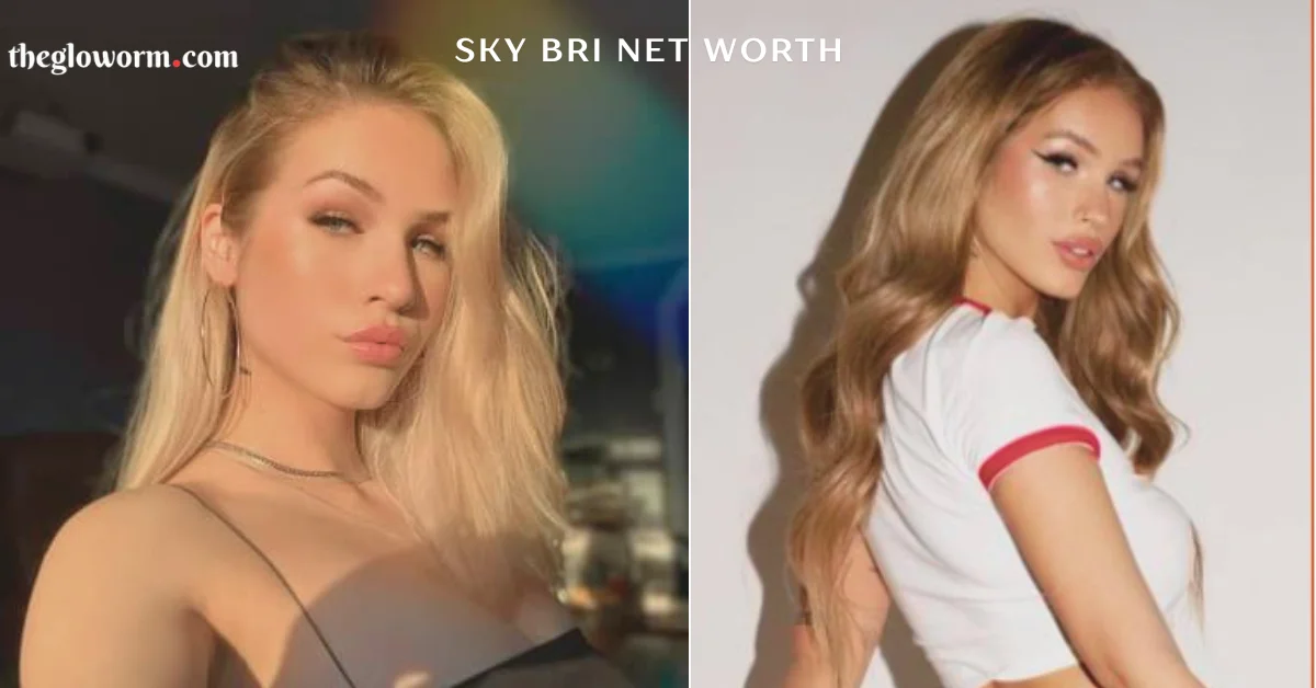 sky bri net worth